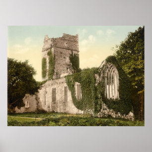 Póster Abadía de Muckross, Killarney, Condado de Kerry