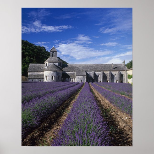 Póster Abadía de Sénanque, Gordes, Vaucluse, Provenza, (Frente)