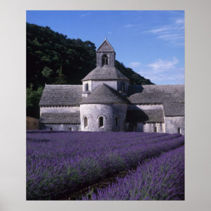 Póster Abadía de Senanque, Gordes, Vaucluse, Provenza, 2