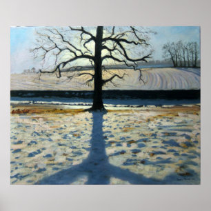 Póster Abadía de Tree and Shadow Calke Derbyshire