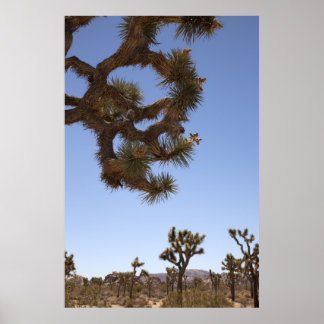 Póster Abajo al frente