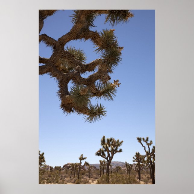 Póster Abajo al frente (Frente)