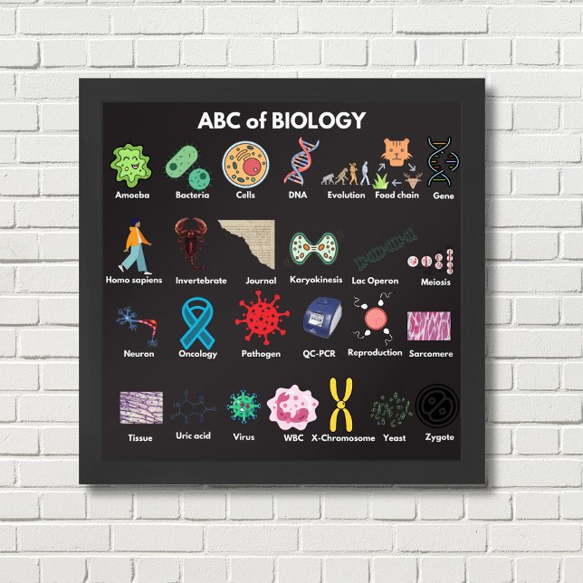 Póster ABC de la biología (Subido por el creador)