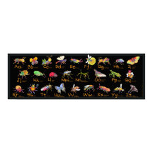 ABC Whimsical Bugs