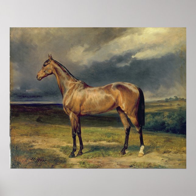 Póster Abdul Medschid' the chestnut arab horse, 1855 (Frente)