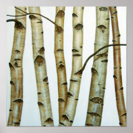 Póster Abedules Blancos