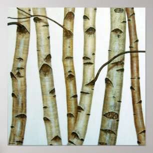 Póster Abedules Blancos