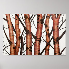Póster abedules rojos