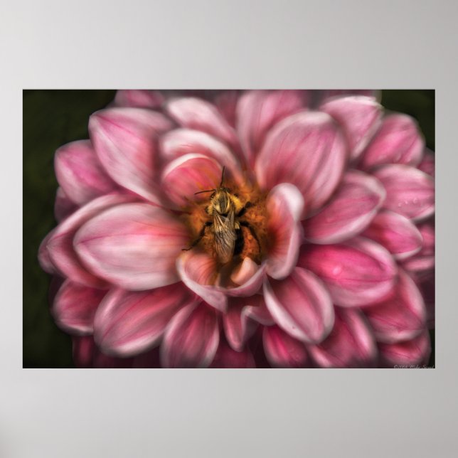Póster Abeja - Centro del Universo (Frente)