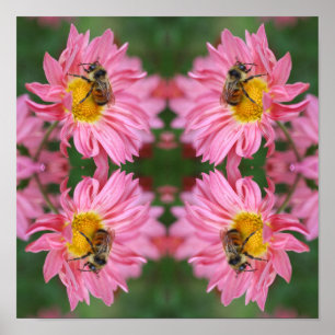 Póster Abeja De Bombeo En Flor De Daisy Rosa Resumen
