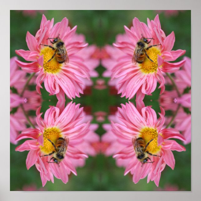 Póster Abeja De Bombeo En Flor De Daisy Rosa Resumen (Frente)
