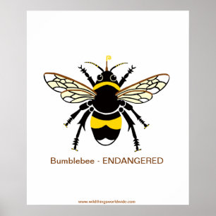 Póster Abeja de BUMBLE gráfico - en peligro de extinción