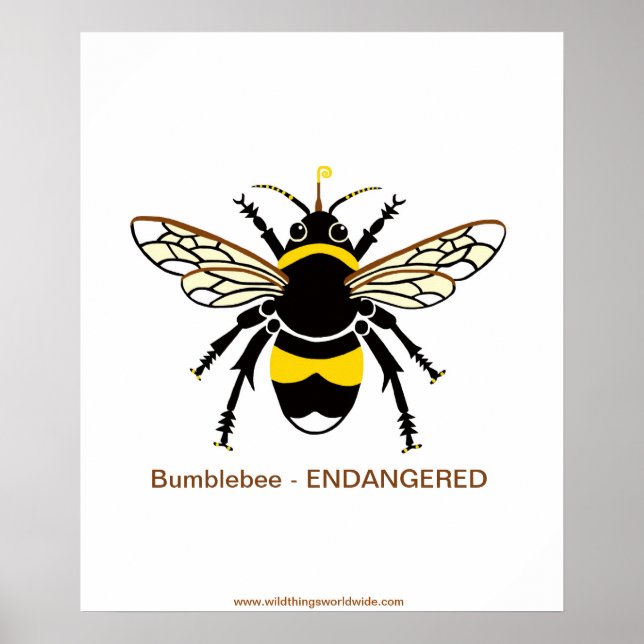 Póster Abeja de BUMBLE gráfico - en peligro de extinción  (Frente)