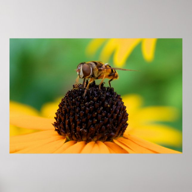 Póster Abeja de miel en el centro de las cosas (Frente)