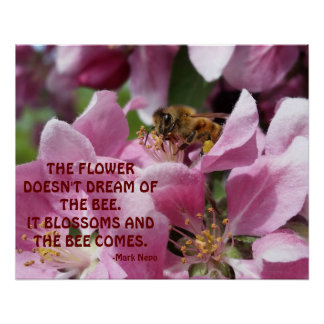 Póster Abeja de miel en flor con cotización