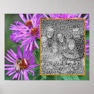 Póster Abeja De Miel En Flor De Aster Rosa Añadir La Foto