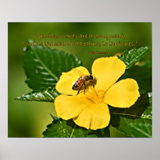 Póster Abeja de miel en la flor, proverbios 16:24