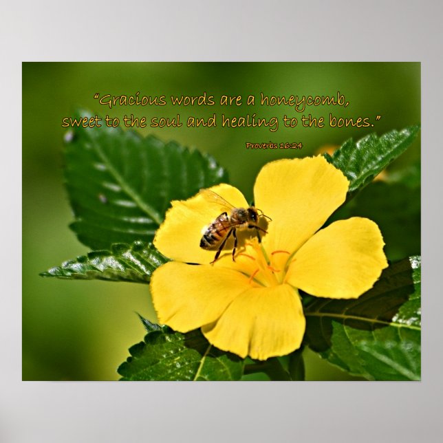 Póster Abeja de miel en la flor, proverbios 16:24 (Frente)