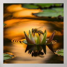 Abeja de miel sobre la flor