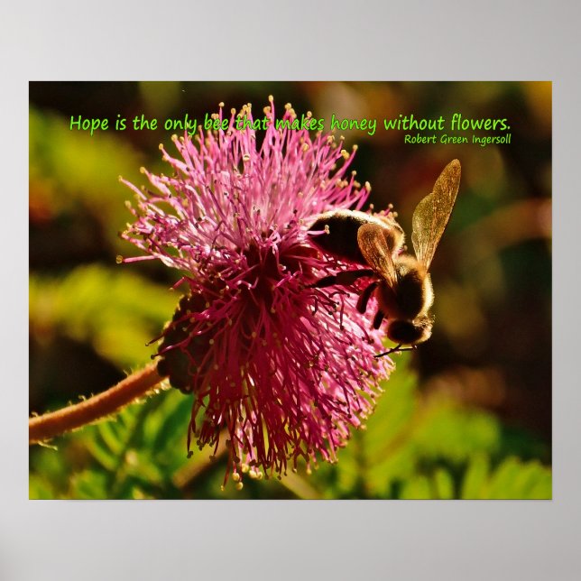 Póster Abeja de miel sobre la flor de hojarasca, cita de  (Frente)