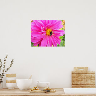 Póster Abeja en Dahlia Rosa Floral Fotográfica