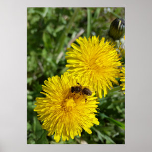 Póster abeja en el trabajo