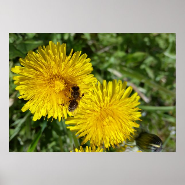Póster abeja en el trabajo (Frente)