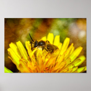 Póster Abeja en flor