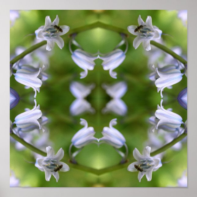 Póster Abeja En Flor De Campanilla Azul Abstracta  (Frente)