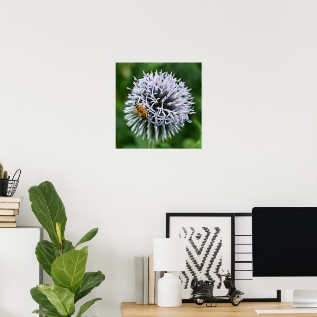 Póster Abeja en Flor de Cardo Globo (Oficina en casa)