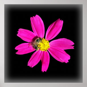 Póster abeja en una flor rosa