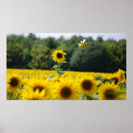 Póster Abeja Feliz.