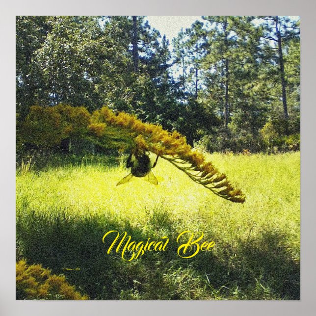 Póster Abeja mágica, Poster de abejas, Poster de abejas y (Frente)