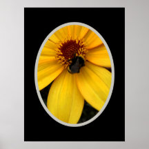 Abeja melífera en una flor amarilla