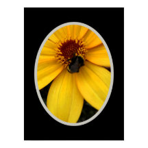 Abeja melífera en una flor amarilla