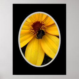 Póster Abeja melífera en una flor amarilla