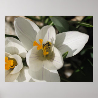 Póster Abeja ocupada