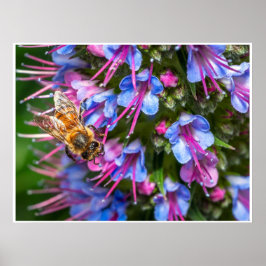 Póster Abeja Ocupada Ocupada