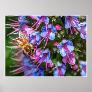 Póster Abeja Ocupada Ocupada