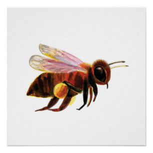 Póster Abeja volando