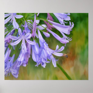 Póster Abeja volando a flores de lirio morado estilo acua