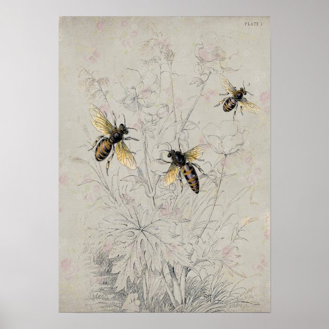 Póster Abejas (Frente)