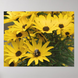 Póster Abejas Amarillas Y Abeja Bumble