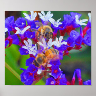 Póster Abejas, amor y peleas