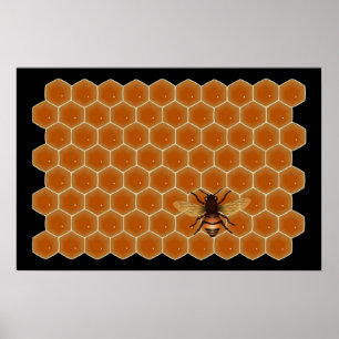 Póster Abejas de miel