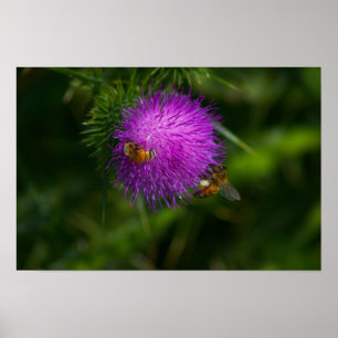 Póster Abejas en un Poster del silbato lácteo