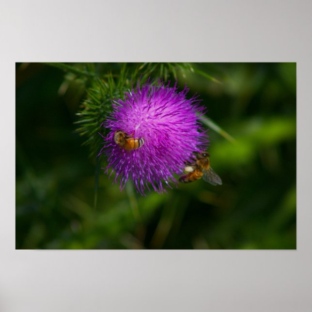 Póster Abejas en un Poster del silbato lácteo (Frente)