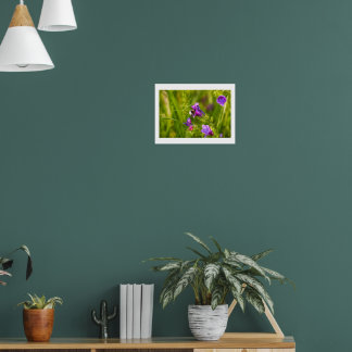 Póster Abejorro en Flor