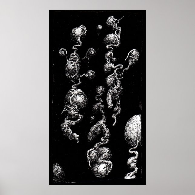 Póster Aberraciones flotantes (Frente)