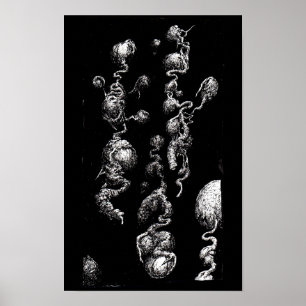 Póster Aberraciones flotantes